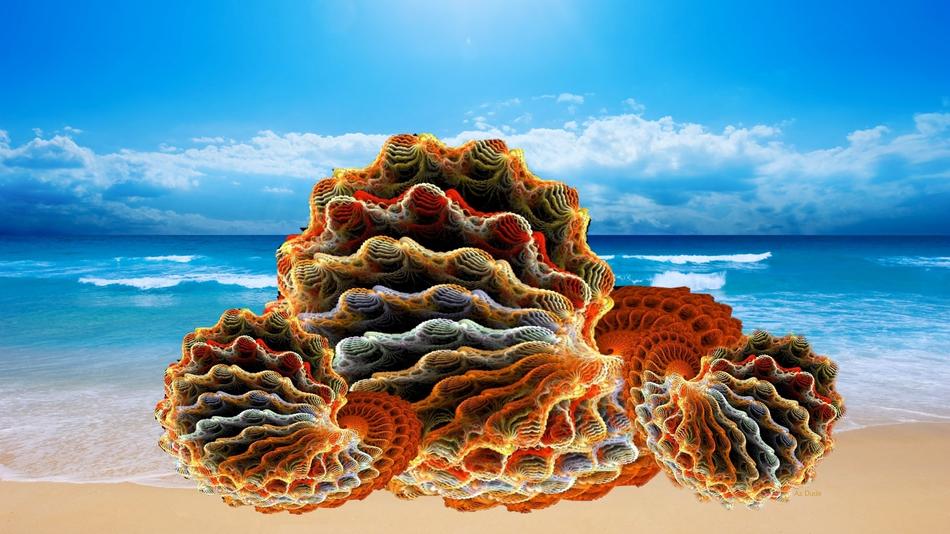 digital clipart of sea shells mussels