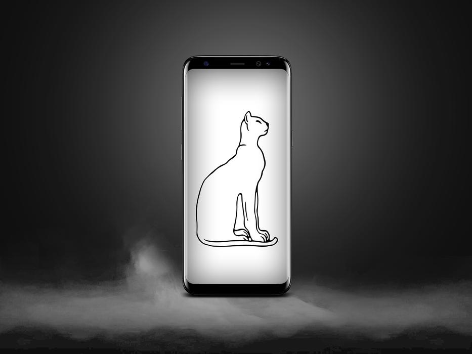 cat silhouette on smartphone screen