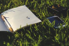 Fly Notebook Grass