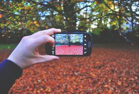 man takes pictures of autumn trees on a smartphone