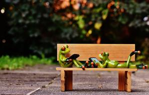 Frogs with Computers on Bank