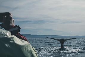 Man taking Photo of whale in sea near coast