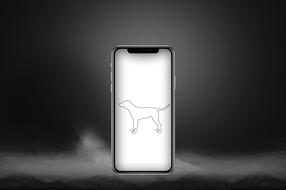 Dog outline on screen of smartphone, digital art, blur grey background