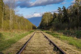 Landscape of the metal tracks among the colorful plants, in Belovezhskaya Pushcha, Poland