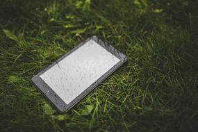 Wet Tablet on Grass
