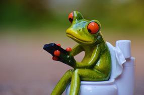 Frog with Mobile Phone on Toilet