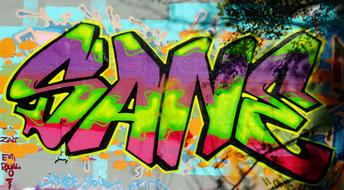 Close-up of the colorful graffiti "Sane" sign, among the patterns, in sunlight, near the plants