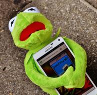 Kermit Frog Smartphone