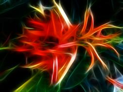 surreal red flower