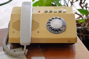 Close-up of the retro phone, on the shiny wooden table, near the plants
