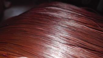 Hair Mahogany Red photo