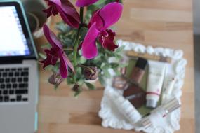 dark pink flower near laptop on table