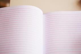 Close-up of the open notebook with red lines, in light