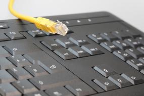 Close-up of the yellow cable on the black and white computer keyboard