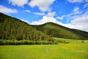 Beautiful and colorful landscape of the mountains with plants in Pudacuo, under the blue sky with clouds