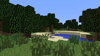 meadow grass in minecraft biom