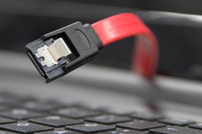 red sata Cable with black Connector close up