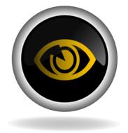 eye button icon ,back web internet