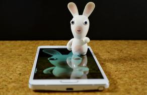 funny hare on smartphone screen