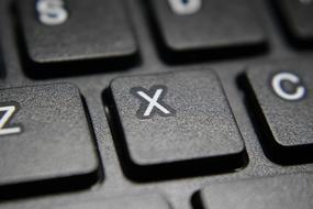 Close-up of the shiny, black and white computer keys in light