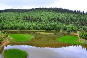 Scenery Shangri-LaS Pudacuo lake