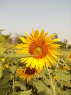 Photography Mobile Click Shots