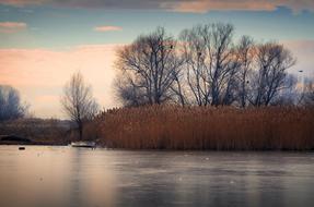Pastel Colors landscape, Winter forest