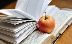 Book and red apple