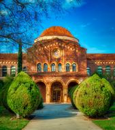 Chico State University