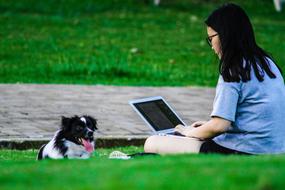Dog and girl in Park