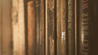 weathered Book Backs close up
