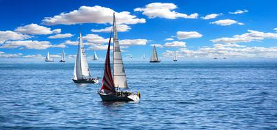 sailing boats in the blue sea