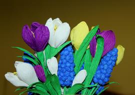 color Paper Flowers