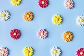 Arrangement Art flowers