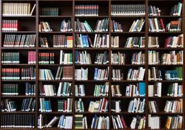 photo of shelves with books in the school library