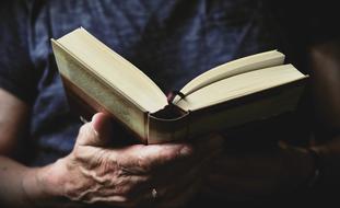 Book Read Hands person