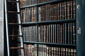 bookshelves in the antique library