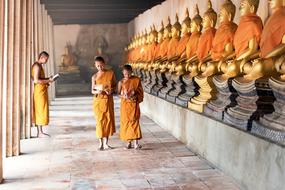 Buddhism Asia Boys orange
