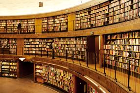 Shelves with colorful books in the university library