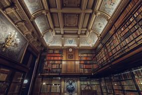 vintage Library Books shelves