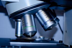 Microscope Slide