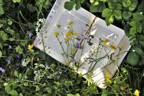 Reading and Plant Nature