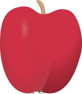 elongated red apple as an illustration