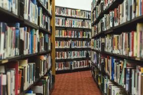 lot of Books on shelves in Library