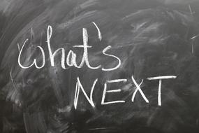 board text whats next
