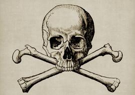 skull and cross bone drawing