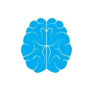 brain icon human drawing