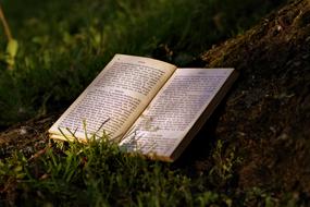 Reading book on the green grass in the park