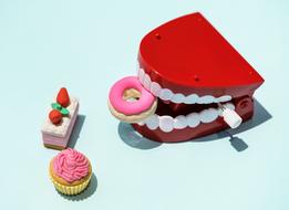 jaw with donut plastic models