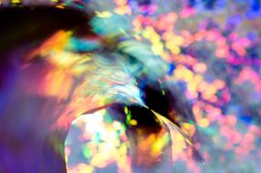Macro Close Up